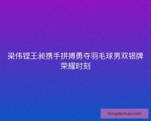 梁伟铿王昶携手拼搏勇夺羽毛球男双银牌荣耀时刻