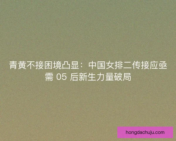 青黄不接困境凸显：中国女排二传接应亟需 05 后新生力量破局